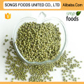 Green Mung Beans Specification New Crop